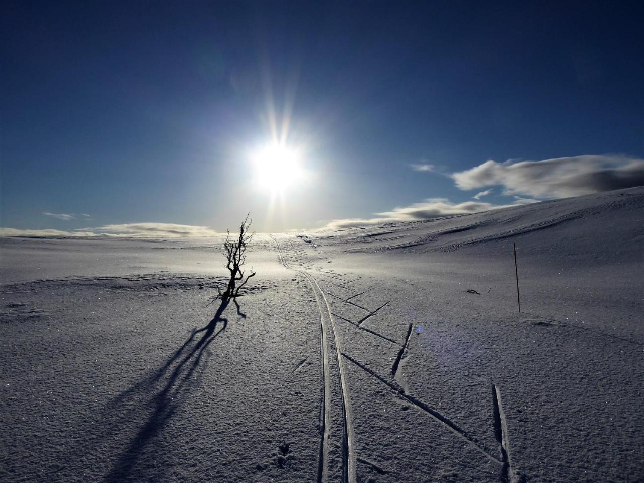 Varangertunet Arctic Resort Jakobselv ภายนอก รูปภาพ