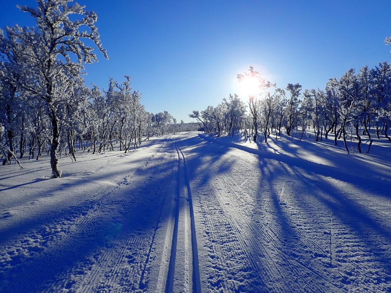 Varangertunet Arctic Resort Jakobselv ภายนอก รูปภาพ