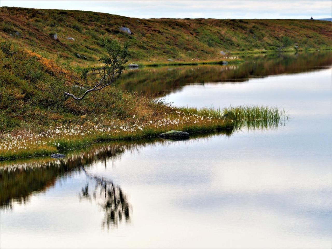 Varangertunet Arctic Resort Jakobselv ภายนอก รูปภาพ