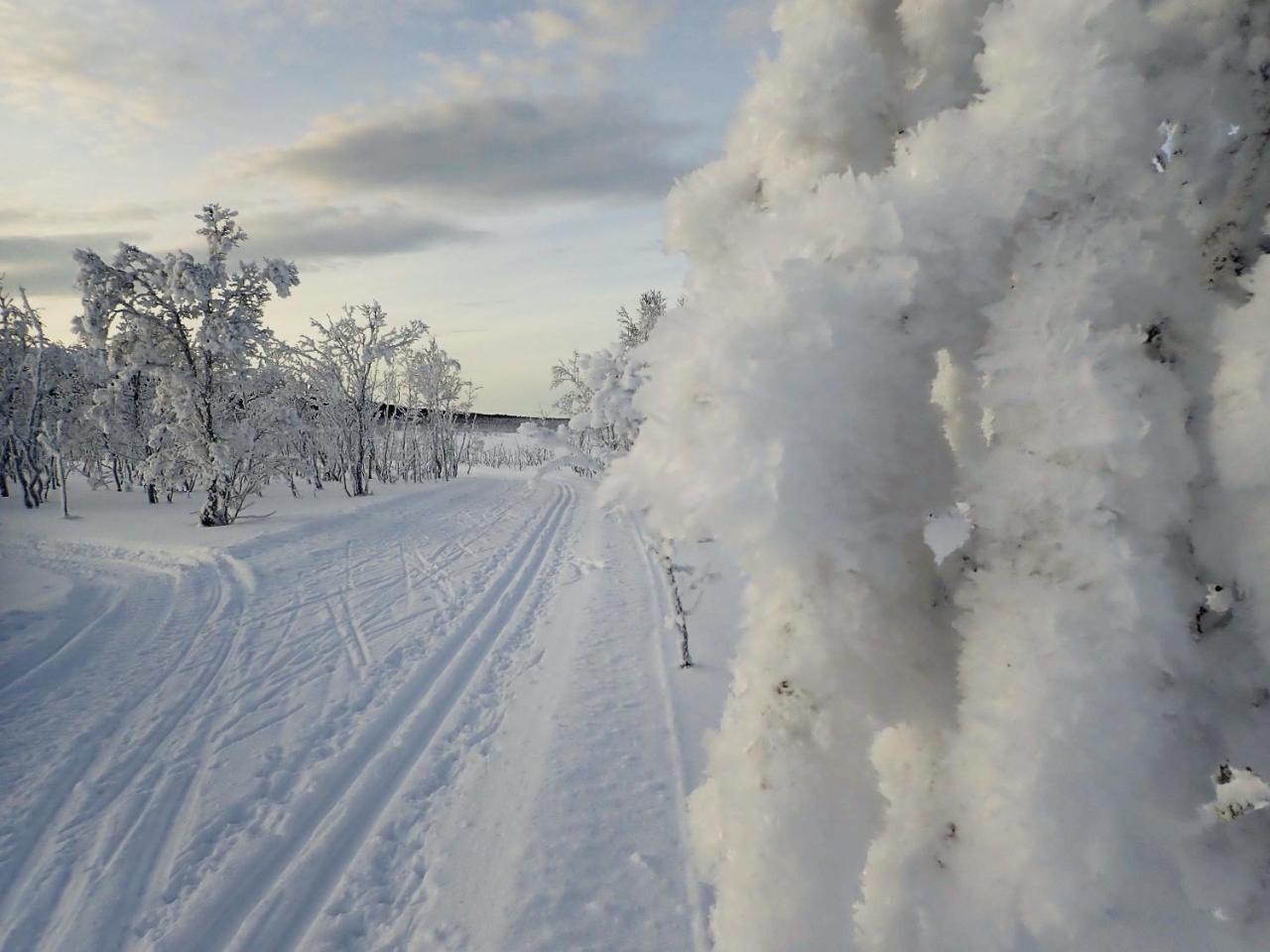 Varangertunet Arctic Resort Jakobselv ภายนอก รูปภาพ